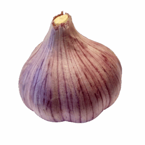 Ajo Morado Colombiano (Колумбия) - головка