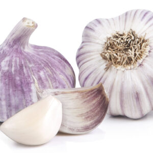 Violet Spring Moldova — зубок