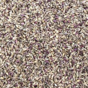 Violet Spring Moldova - воздушка