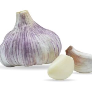 Violet Spring Moldova — головка