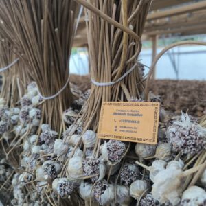 Красный Император Тибета (Азия) - воздушка